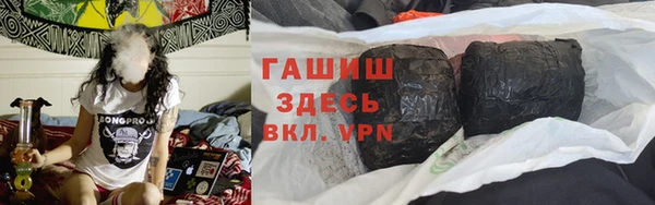 индика Бородино