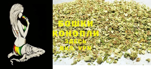 индика Бородино