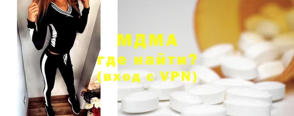 индика Бородино
