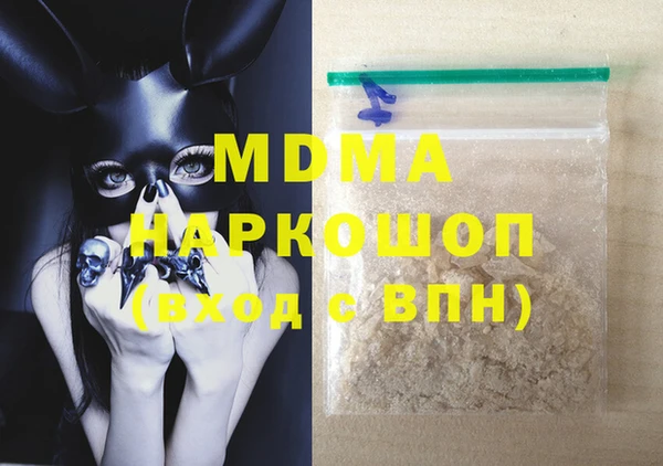 индика Бородино