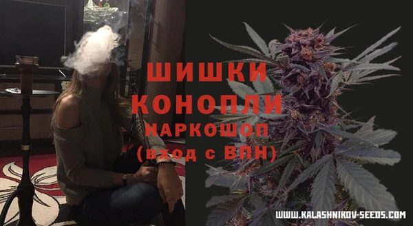 индика Бородино